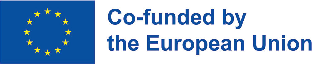 DIPLOWideMed_eu_co_funded_en